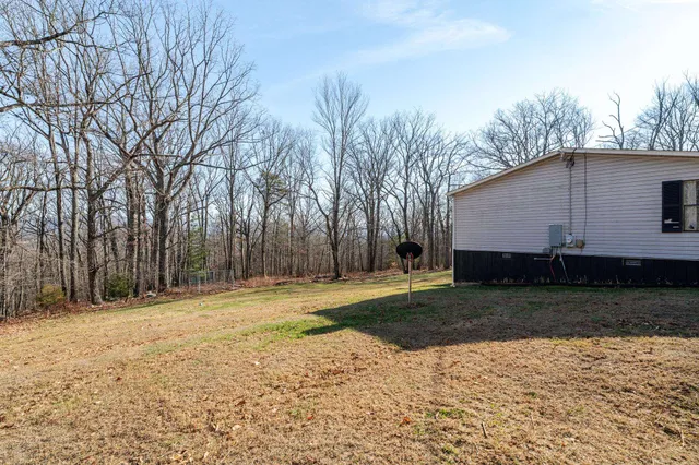 a view of large trees with yard