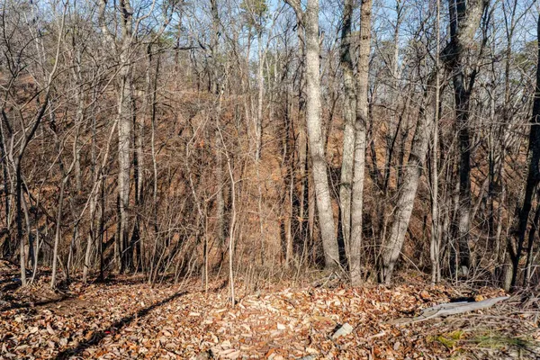 $329,900 | 89 Bitter Root Drive, Shenandoah, VA 22849