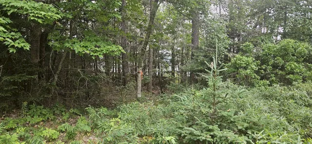 $199,000 | 98 Meadow Point Road, Lamoine, ME 04605