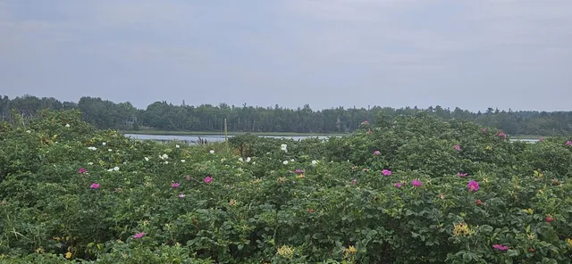 $199,000 | 98 Meadow Point Road, Lamoine, ME 04605