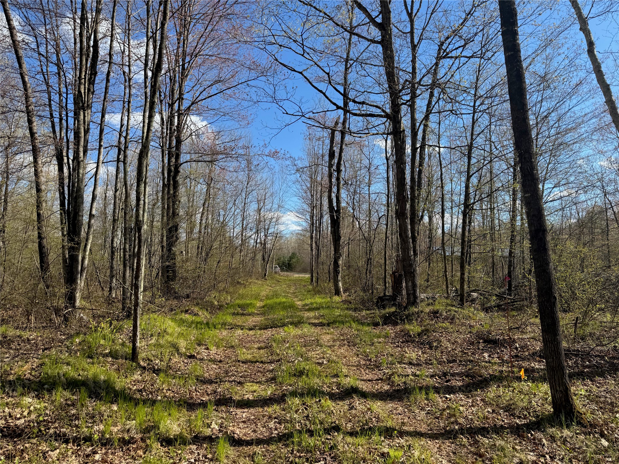 Lot 7 Trapper Trail Hayward, WI 54843 - Photo 18 of 42