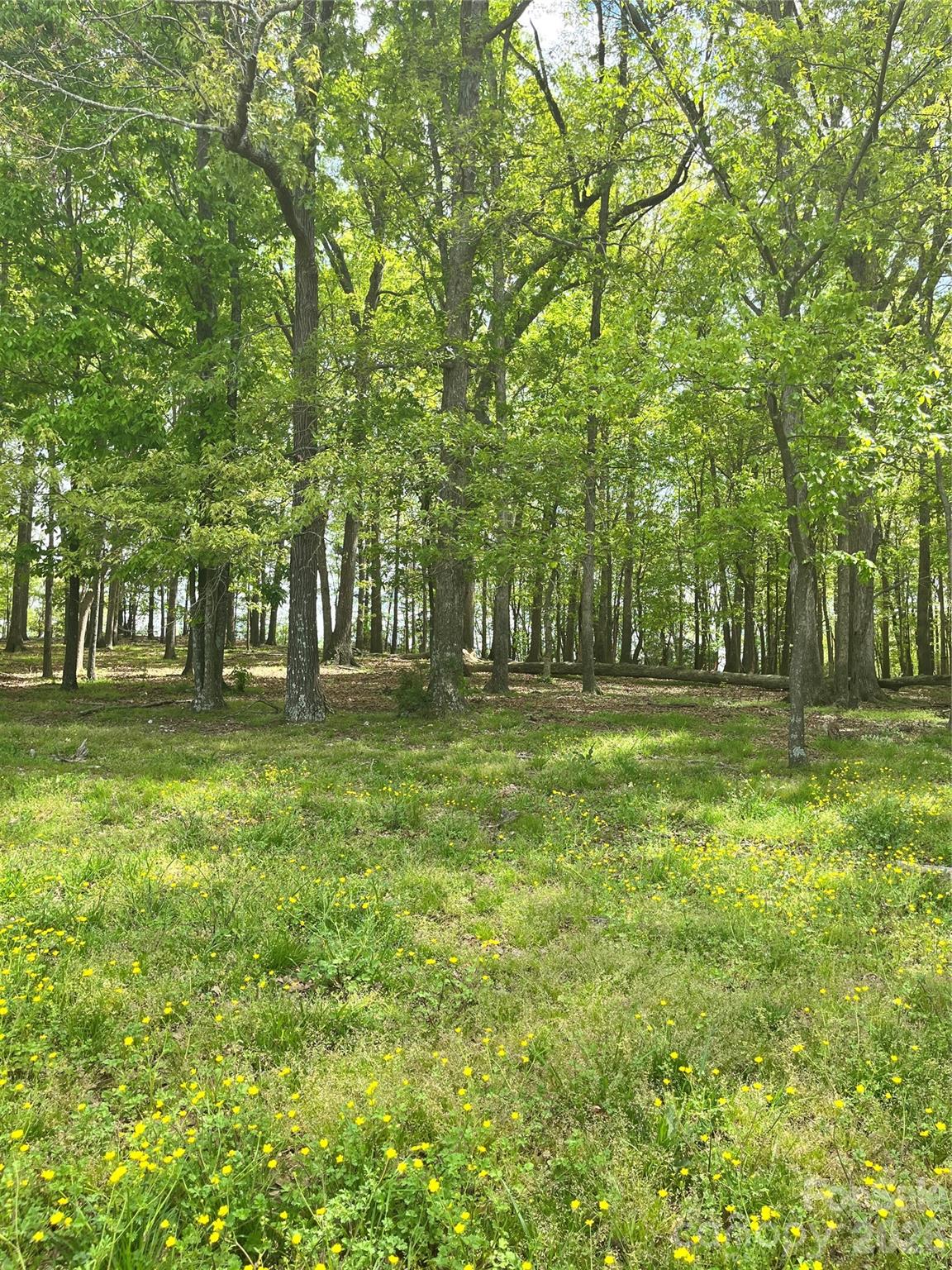1 Wolf Pond Road Monroe, NC 28112 - Photo 3 of 4