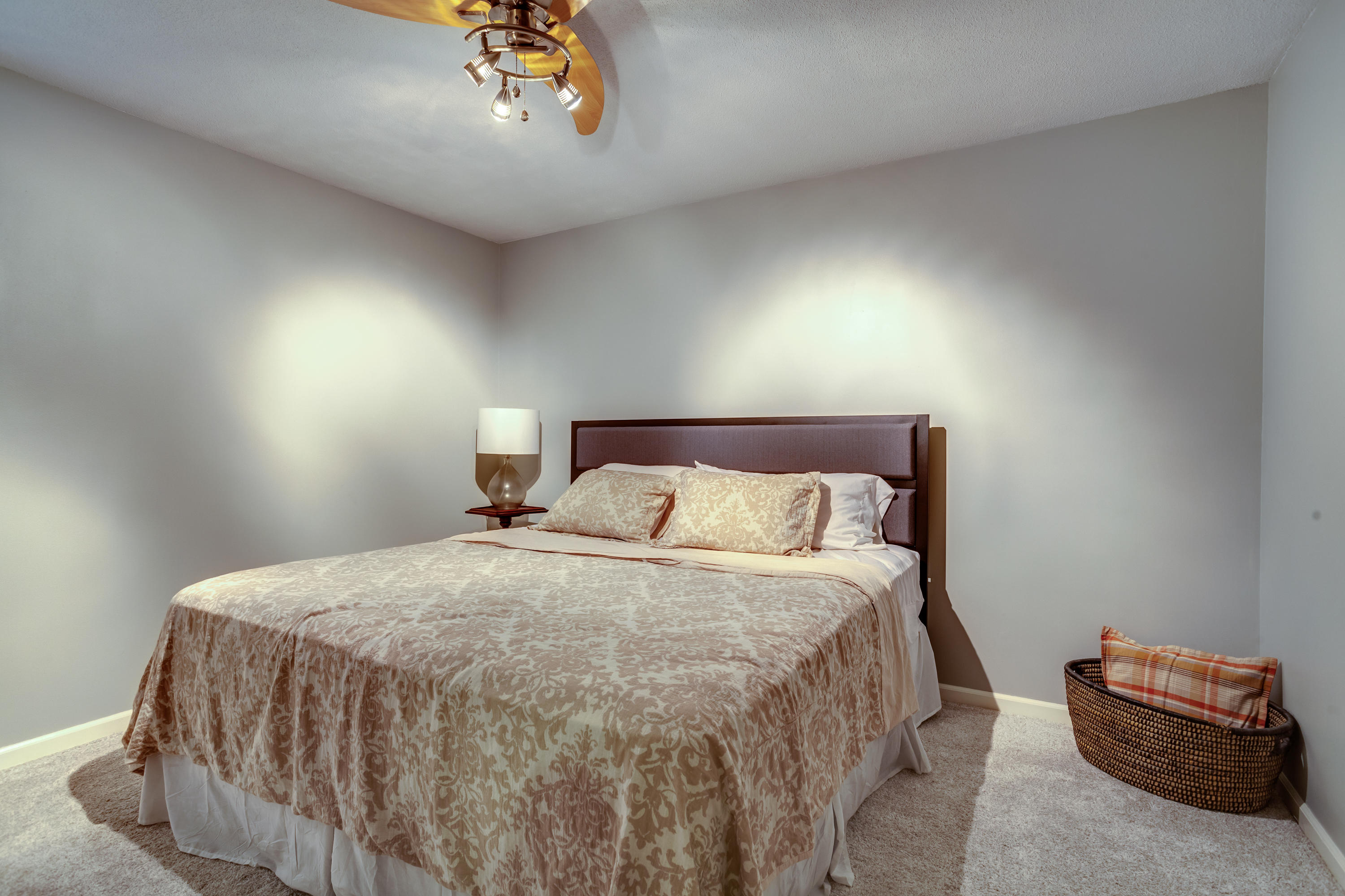 7929 Castlecomb Road Powell, TN 37849 - Photo 23 of 33 022200924-1-7929CastlecombRdPowellTN-SMA