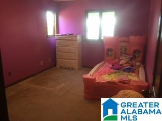 206 Viewpoint Circle Pell City, AL 35128 - Photo 23 of 48