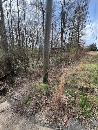 a view of a forest with trees