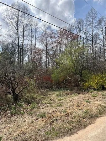 a view of a yard