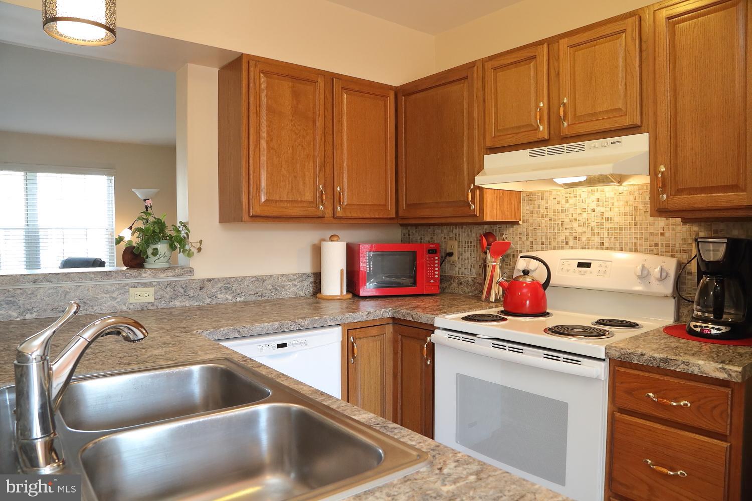 2948 Aster Lane Lititz, PA 17543 - Photo 6 of 13 Plenty of counter space!