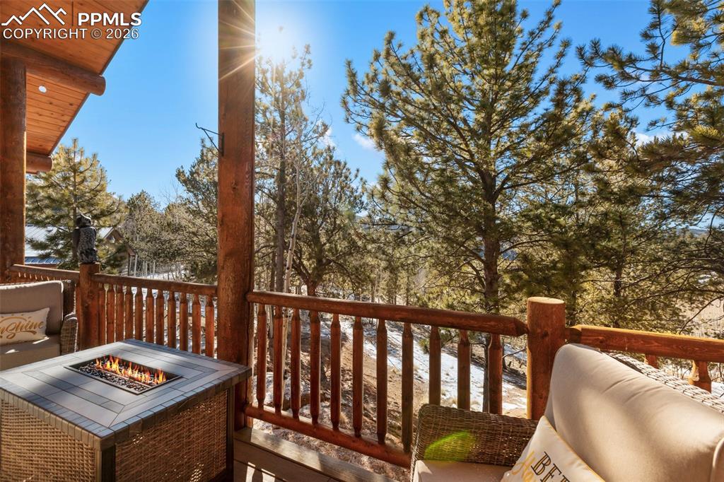 26 Blue Spruce Road Divide, CO 80814 - Photo 12 of 50