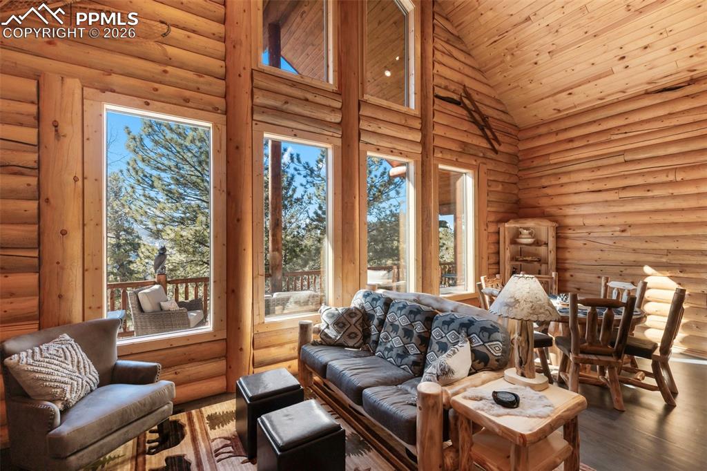 26 Blue Spruce Road Divide, CO 80814 - Photo 15 of 50