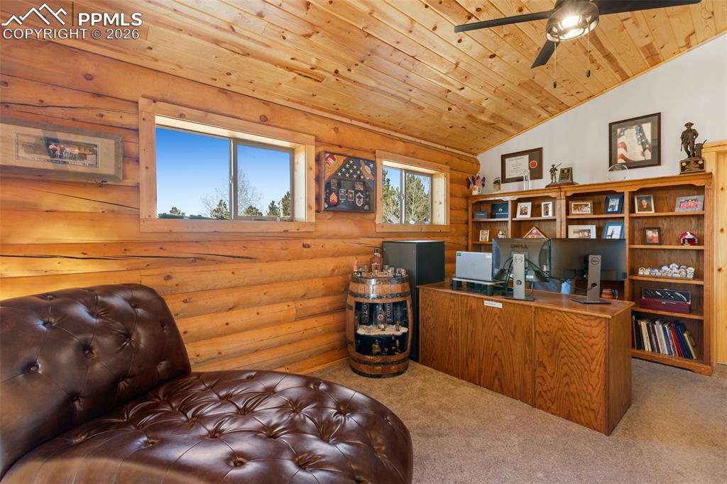 26 Blue Spruce Road Divide, CO 80814 - Photo 30 of 50