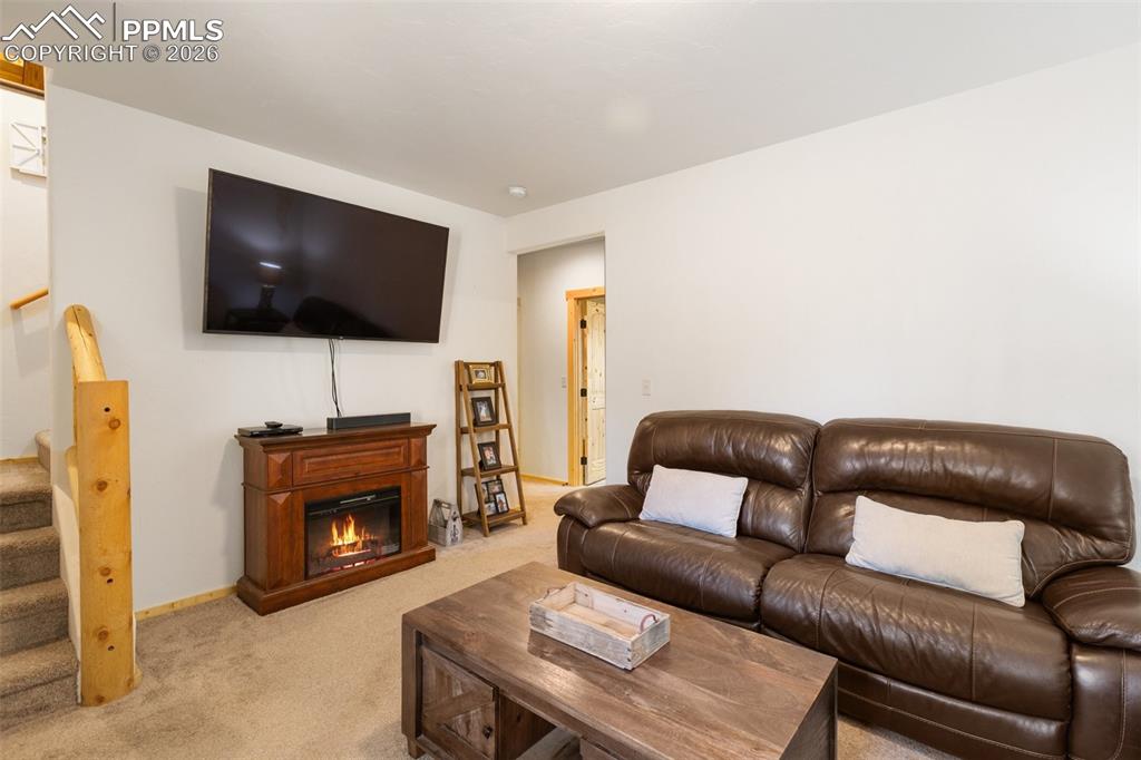 26 Blue Spruce Road Divide, CO 80814 - Photo 31 of 50