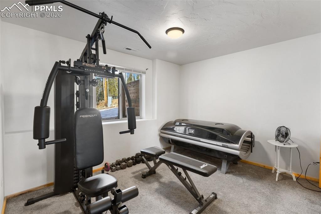 26 Blue Spruce Road Divide, CO 80814 - Photo 32 of 50 Basement bedroom