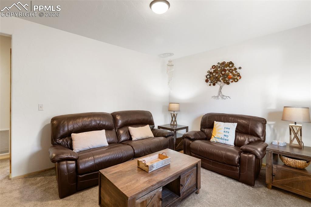 26 Blue Spruce Road Divide, CO 80814 - Photo 33 of 50