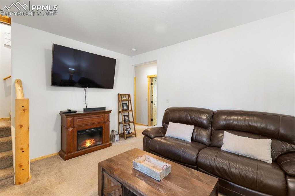 26 Blue Spruce Road Divide, CO 80814 - Photo 34 of 50