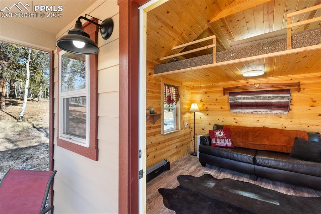 26 Blue Spruce Road Divide, CO 80814 - Photo 40 of 50