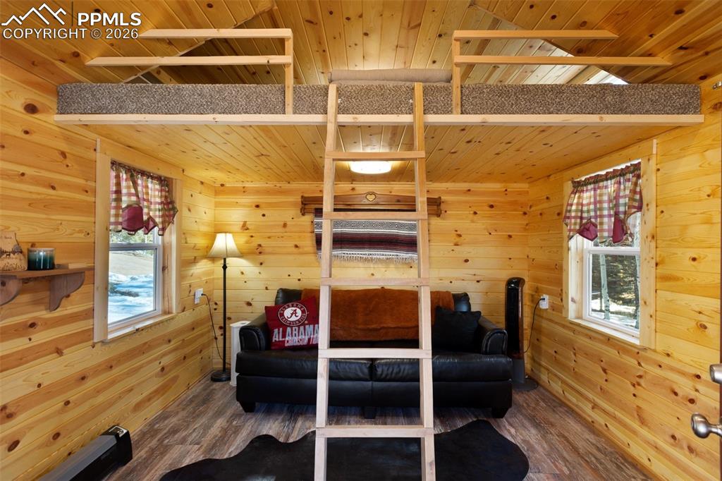 26 Blue Spruce Road Divide, CO 80814 - Photo 44 of 50