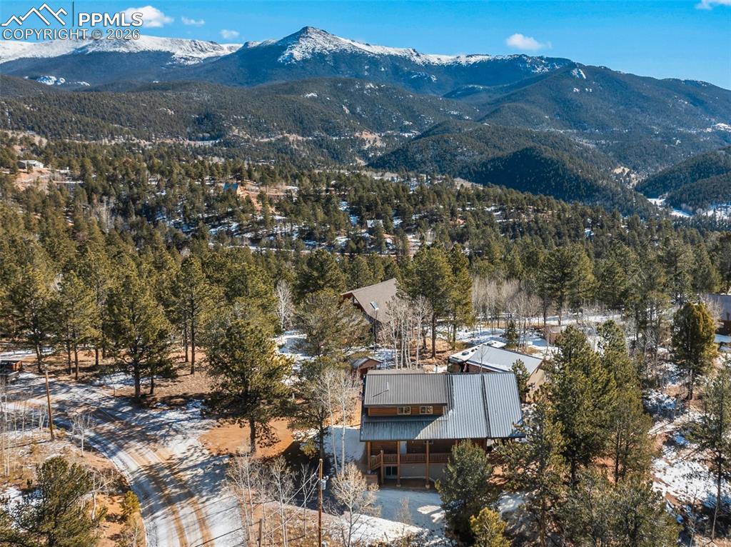 26 Blue Spruce Road Divide, CO 80814 - Photo 47 of 50