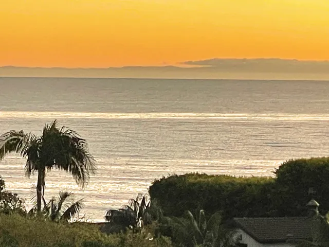 a bedroom with bed and wooden floor