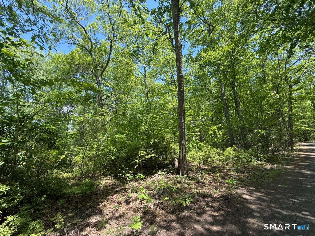 Bunker Hill Road Killingworth, CT 06419 - Photo 3 of 4