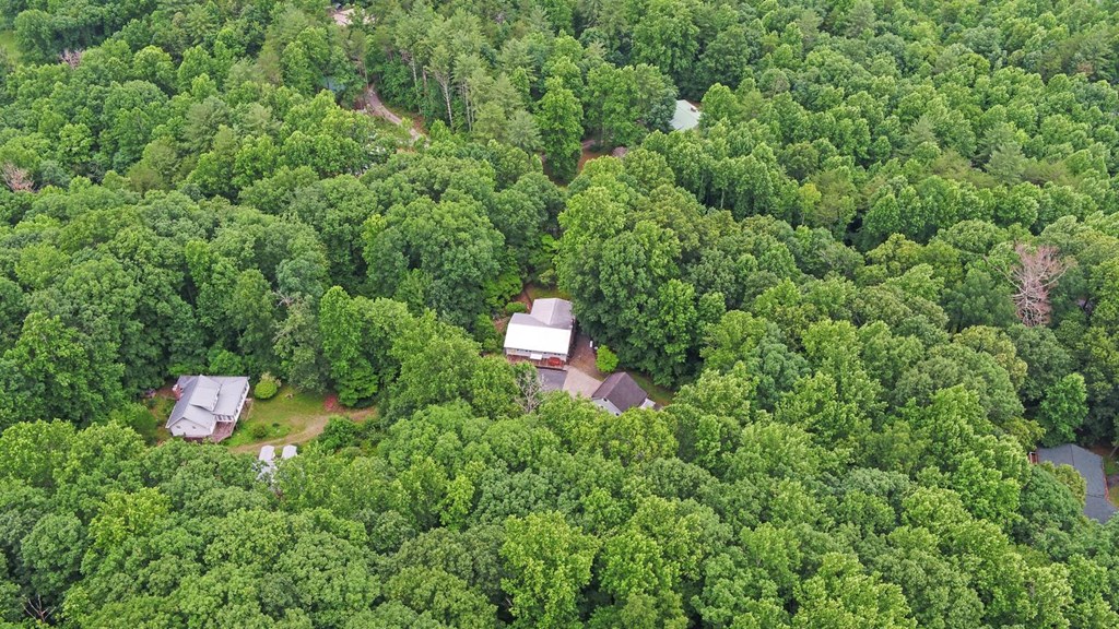 475 Hamilton Road Blairsville, GA 30512 - Photo 41 of 53