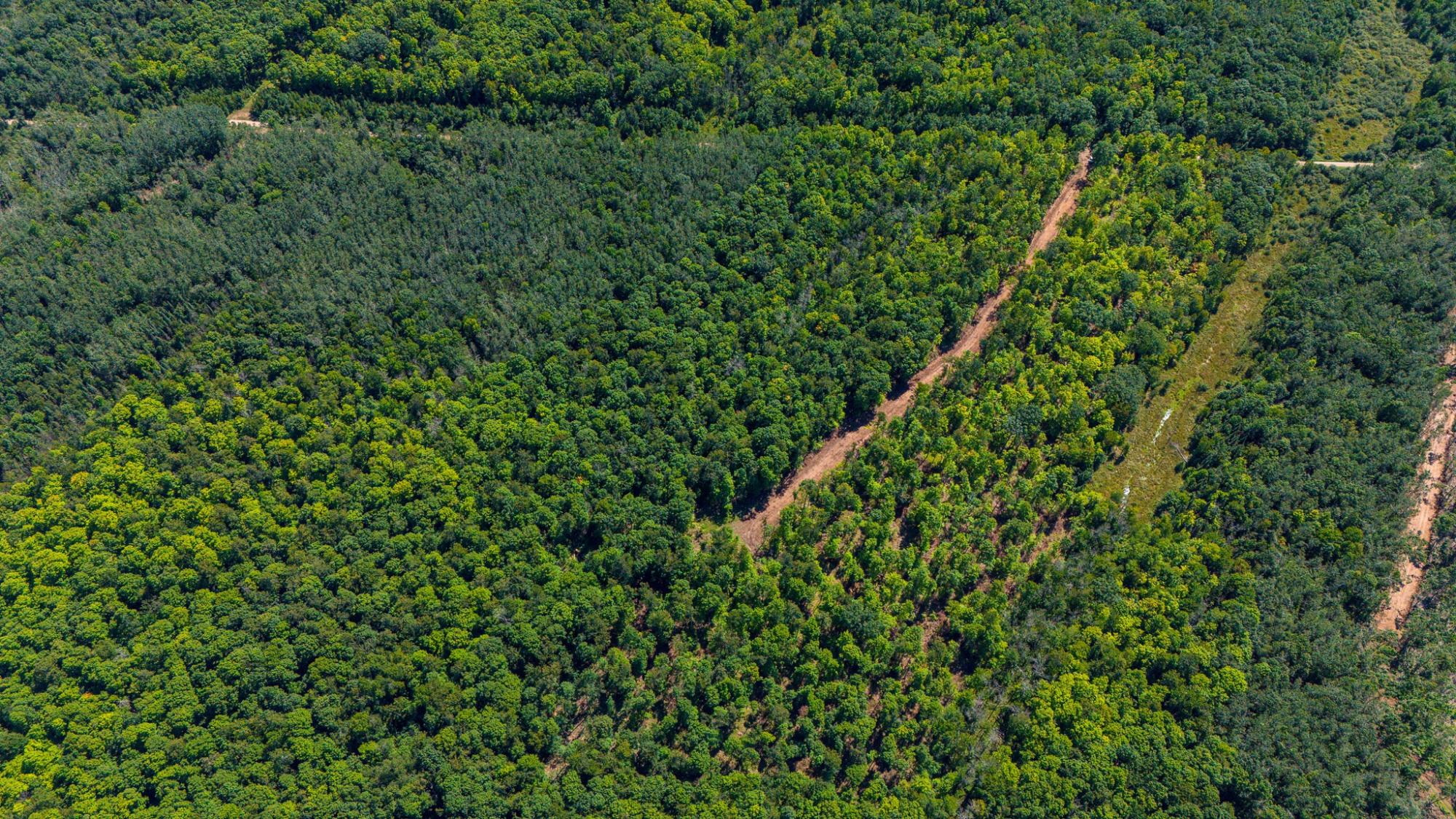 40-acres Ison Road Crandon, WI 54520 - Photo 27 of 31 Gallery Image 27