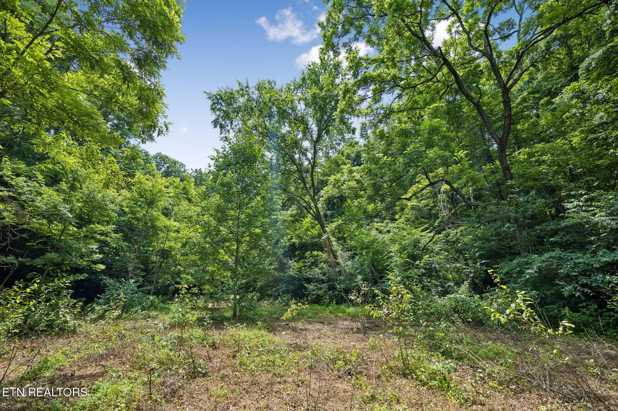 Knob Road Rutledge, TN 37861 - Photo 16 of 46 10-344 Knob Rd - 010