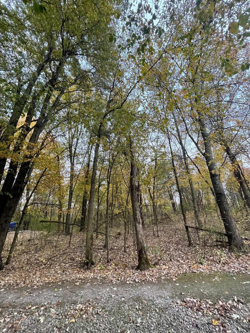 0 Irwin Road Delaware, OH 43015 - Photo 2 of 3 Irwin Rd
