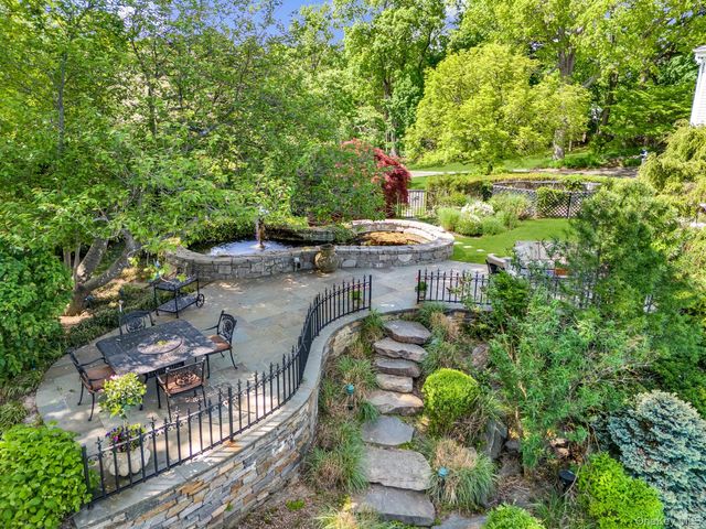 a view of a garden with plants