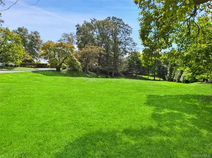 a view of a garden with plants and a bench