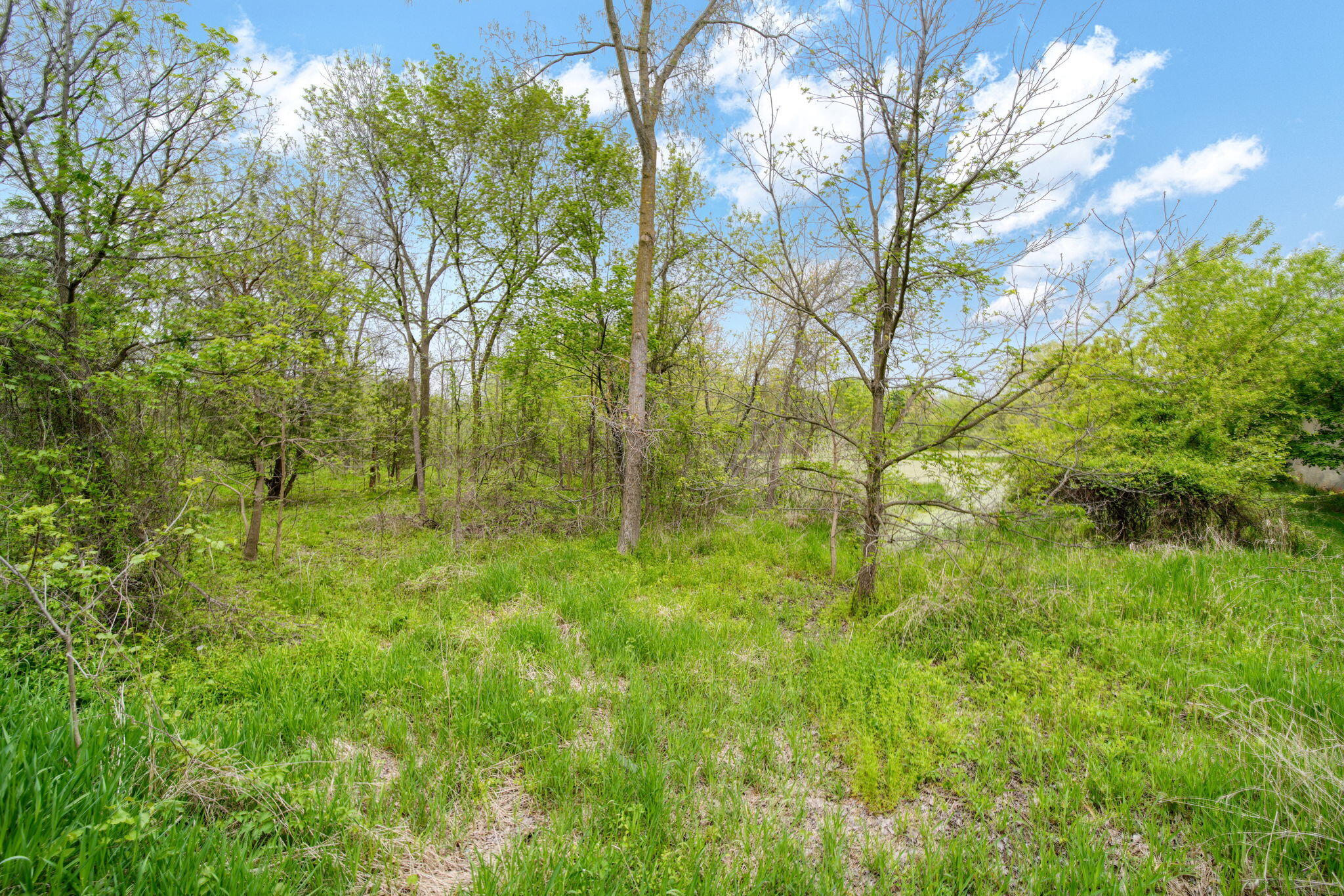 5280 Jefferson Road Clarklake, MI 49234 - Photo 48 of 68 44-web-or-mls-DSC06794_HDR