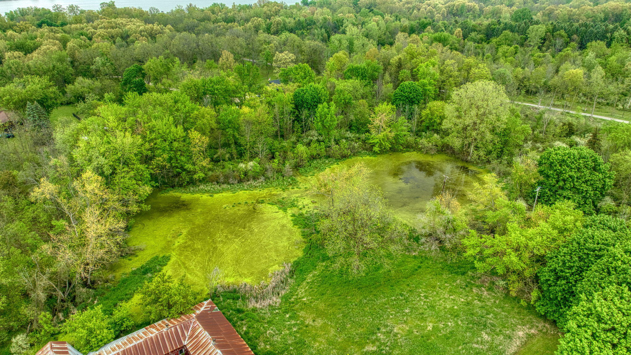 5280 Jefferson Road Clarklake, MI 49234 - Photo 67 of 68 67-web-or-mls-DJI_0313_HDR