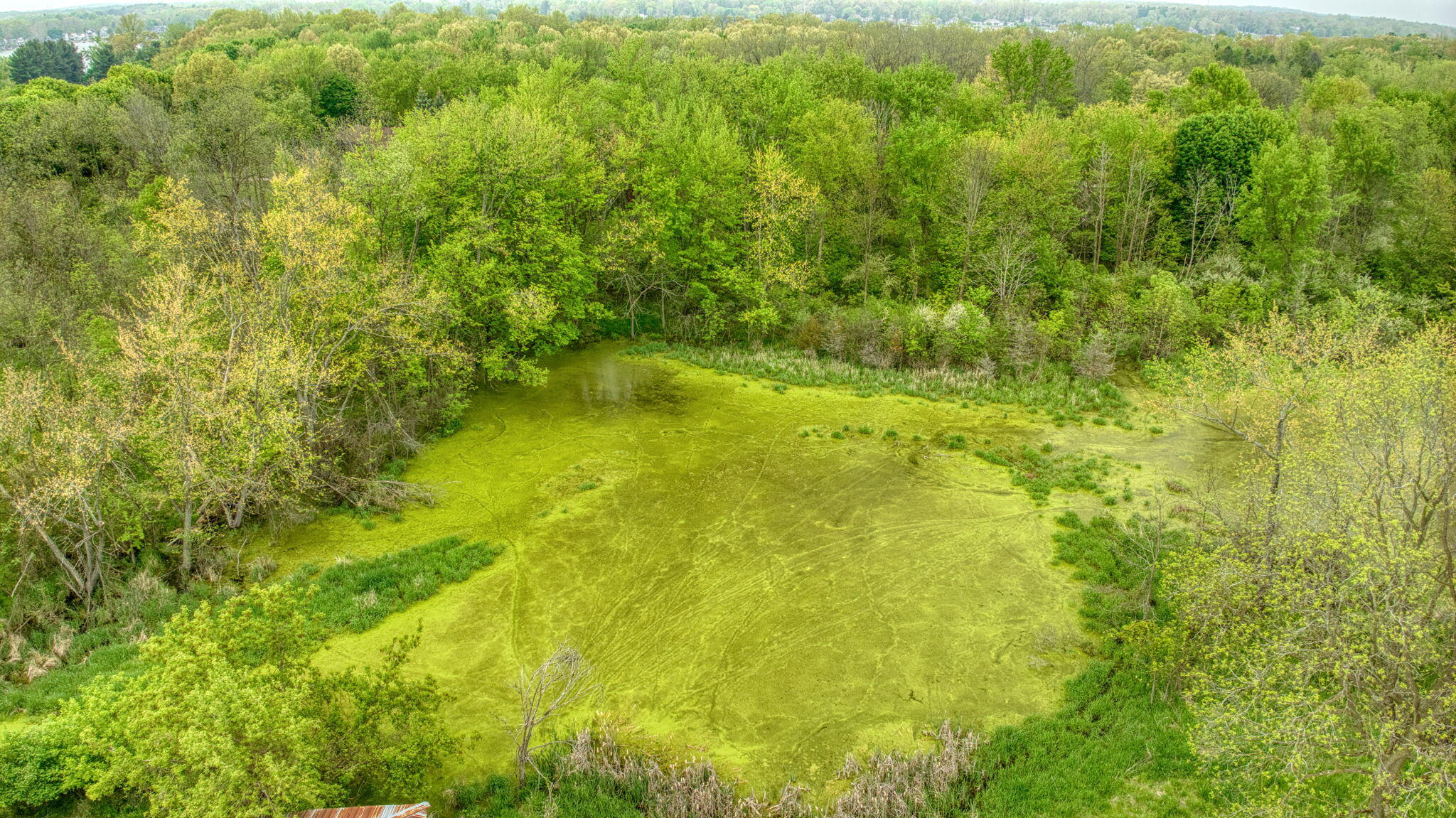 5280 Jefferson Road Clarklake, MI 49234 - Photo 68 of 68 68-web-or-mls-DJI_0310_HDR