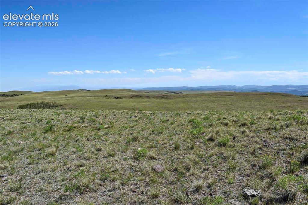 0 Bear Cat Road Guffey, CO 80820 - Photo 32 of 40