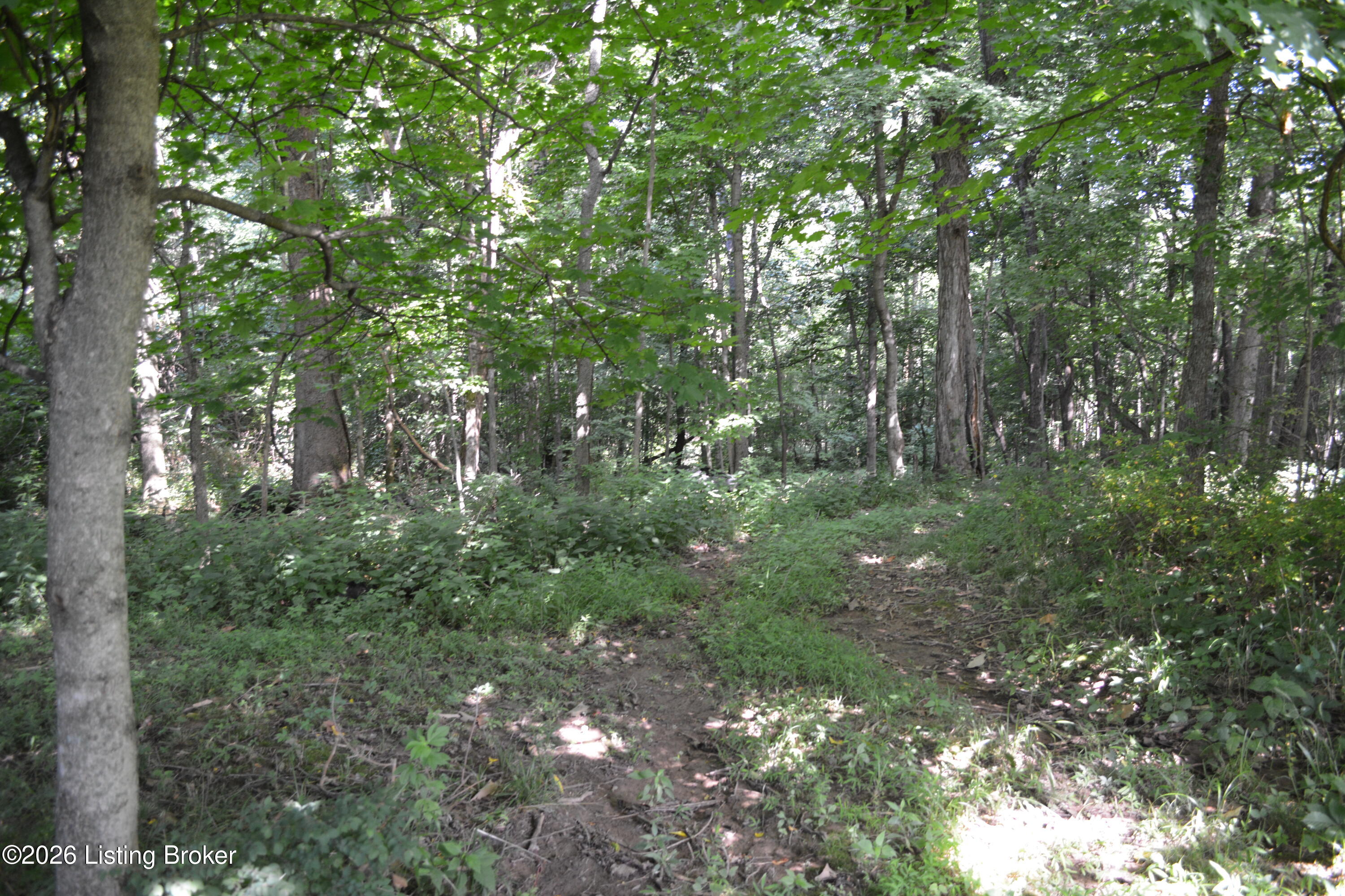 0 Bray Ridge Road Bedford, KY 40006 - Photo 28 of 34 DSC_6161
