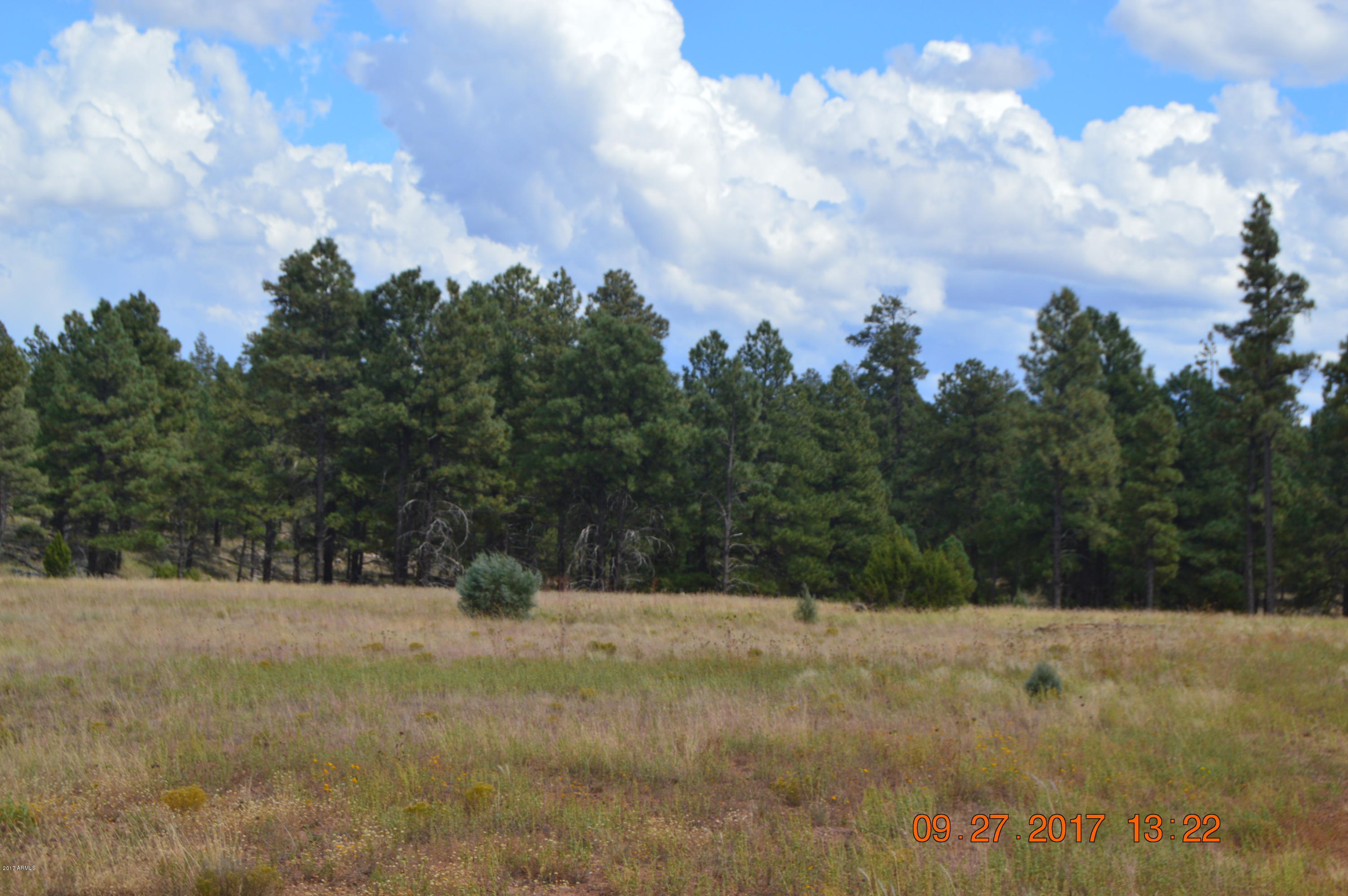 1927 Ricochet Ranch Road, Unit 14C Show Low, AZ 85901 - Photo 3 of 6 DSC_0322