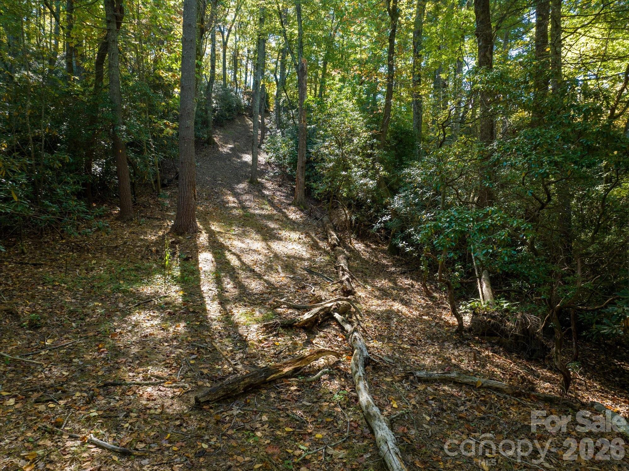 0 Big Hungry Road Flat Rock, NC 28731 - Photo 18 of 40 a view of forest