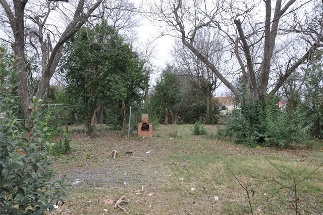 a view of a forest with trees in the background