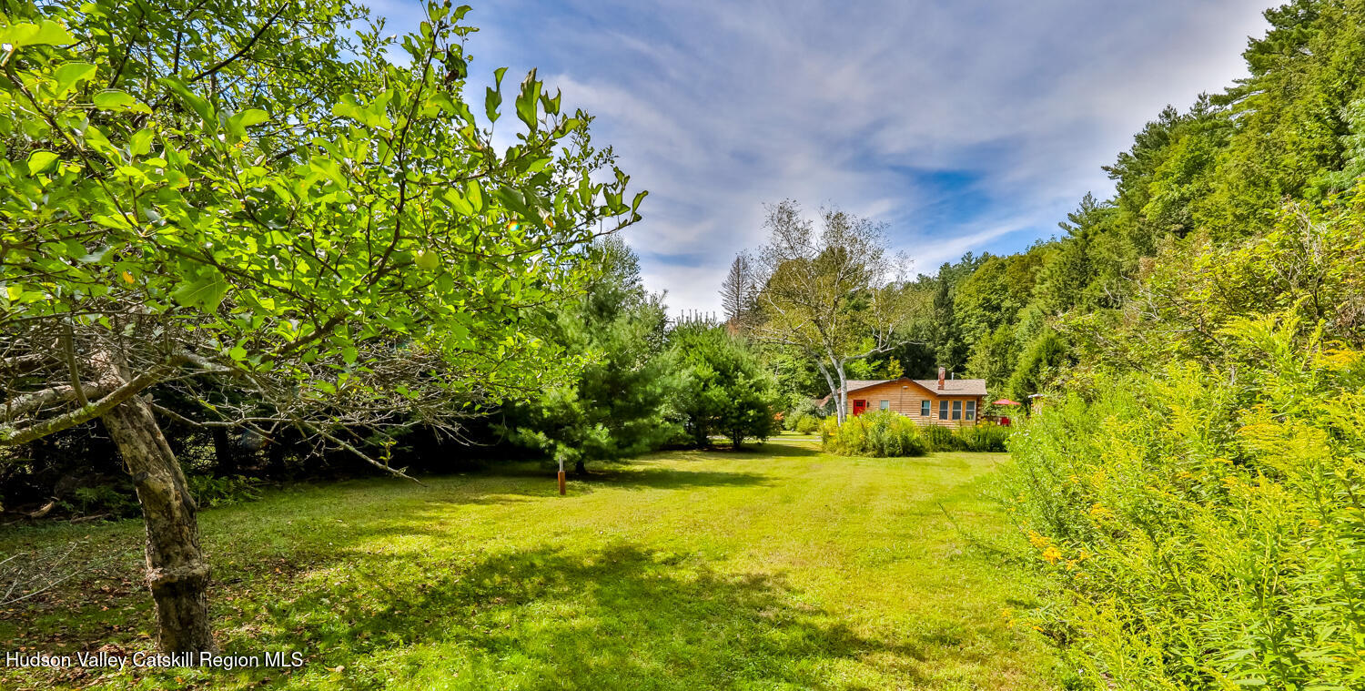 10398 Highway 23A Jewett, NY 12442 - Photo 46 of 55 2V2A7547-Edt