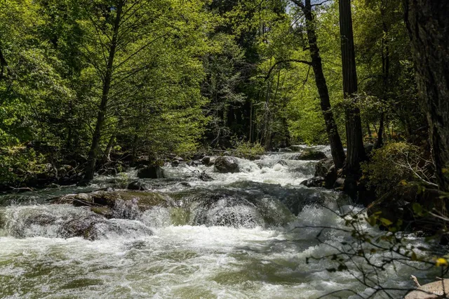 $2,600,000 | 35350 Hwy 36e Paynes Creek, Paynes Creek, CA 96075