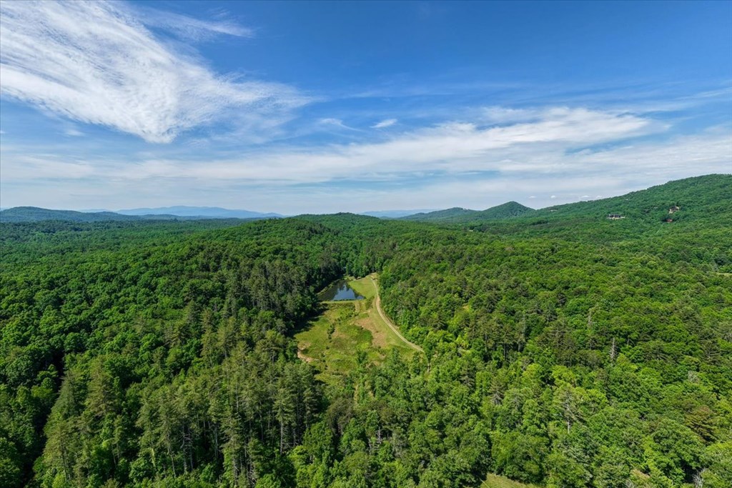 5260 Hardscrabble Road Mineral Bluff, GA 30559 - Photo 11 of 52