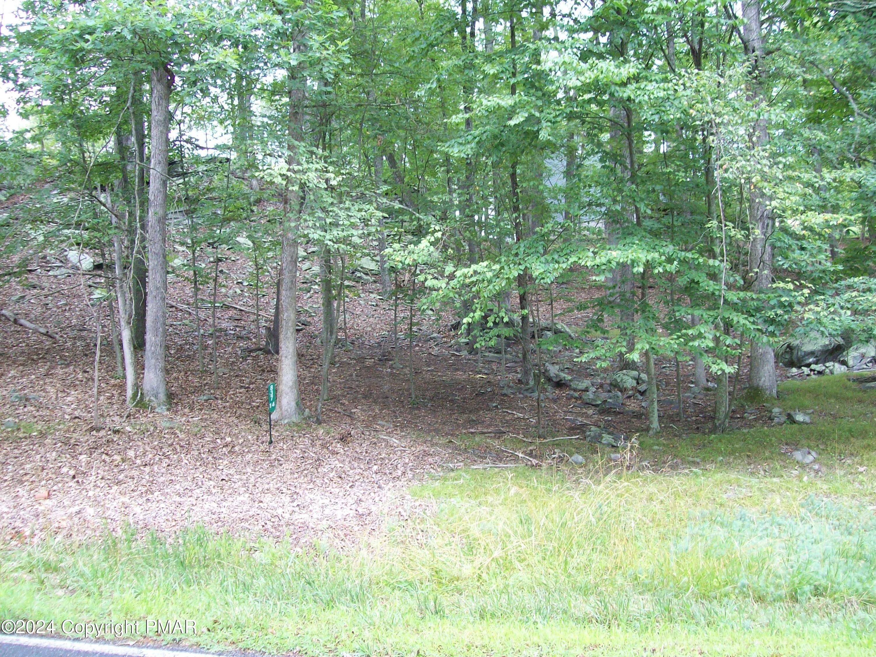 Lot 837 Dover Drive Bushkill, PA 18324 - Photo 2 of 3 a backyard of a house with lots of green space