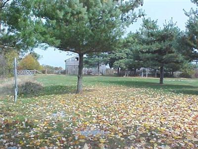 3405 Waterworks Road Winchester, KY 40391 - Photo 7 of 11 Back yard.