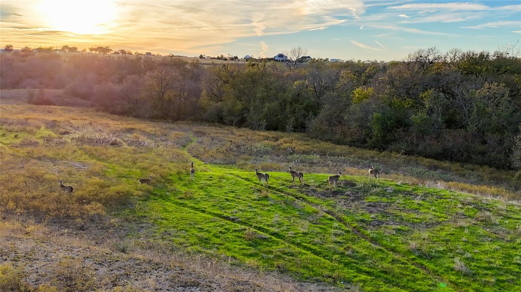 Tbd Old Stoney Road Ponder, TX 76259 - Photo 25 of 28 a view of a yard with an trees
