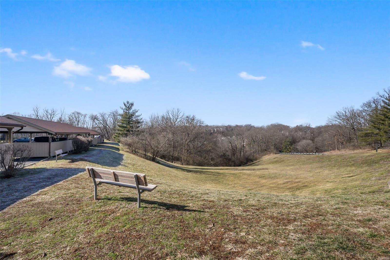 700 Ridgeside Drive, Unit C Ballwin, MO 63021 - Photo 20 of 24