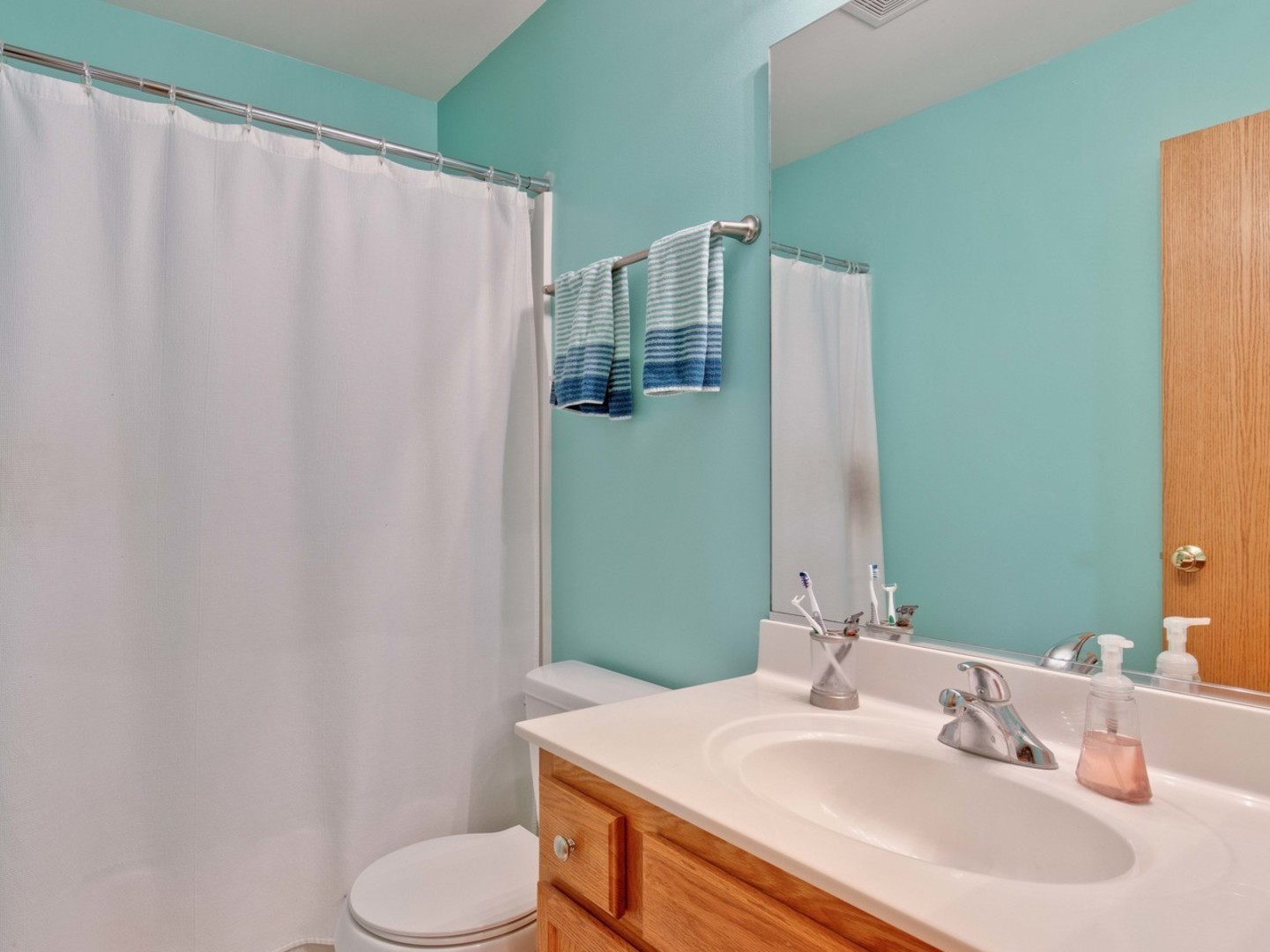 34247 Trillium Way Round Lake, IL 60073 - Photo 15 of 23