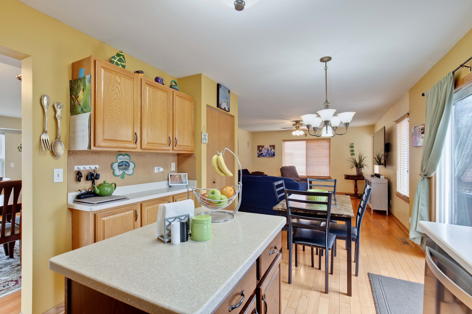 34247 Trillium Way Round Lake, IL 60073 - Photo 10 of 23