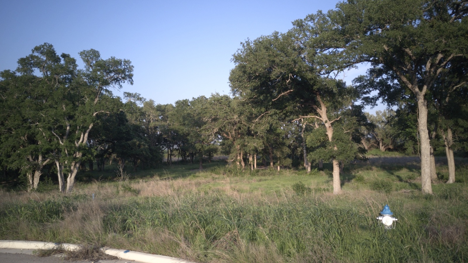 148 West Rio Ranch Road Liberty Hill, TX 78642 - Photo 4 of 11 a backyard of a house with lots of green space