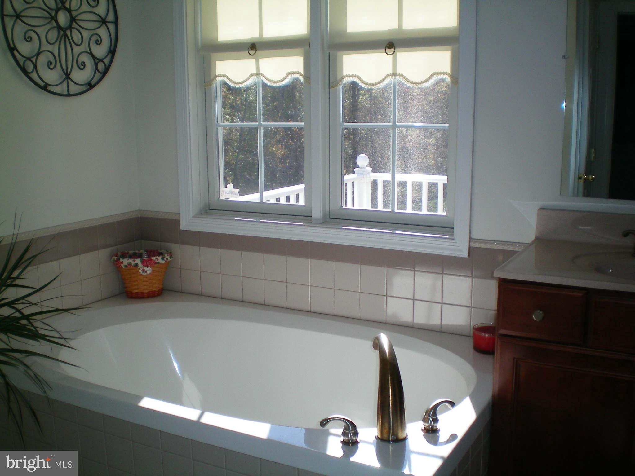 51 Bay Front Road Lothian, MD 20711 - Photo 16 of 30 Bath (Master)