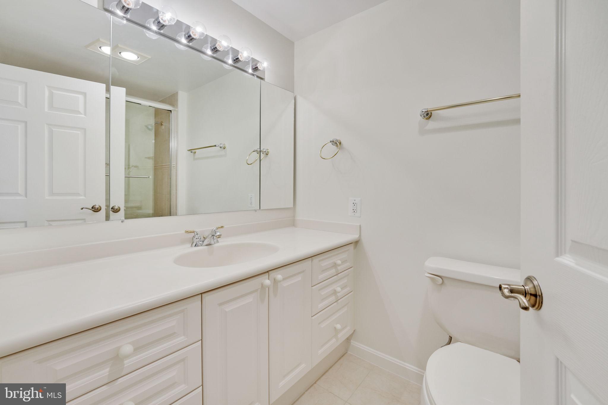 19355 Cypress Ridge Terrace, Unit 1111 Leesburg, VA 20176 - Photo 28 of 47 Second bathroom