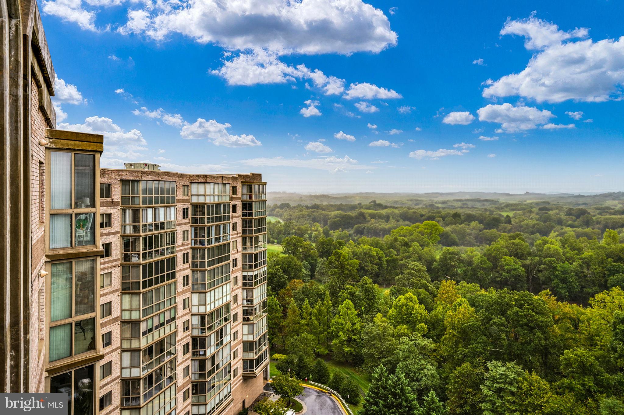 19355 Cypress Ridge Terrace, Unit 1111 Leesburg, VA 20176 - Photo 36 of 47